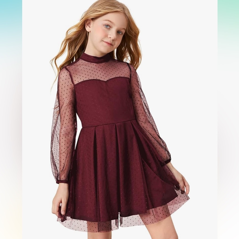 Girls Burgundy Sheer Mesh A-line Dress.